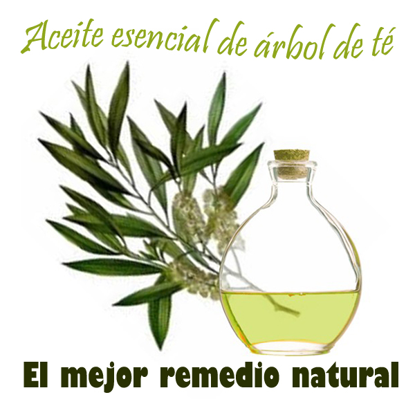 30-remedios-aceite-rbol-de-t.jpg