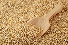 Quinoa-1.jpg