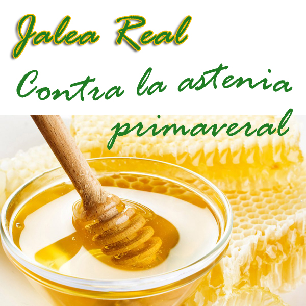 Jalea real. Astenia primaveral