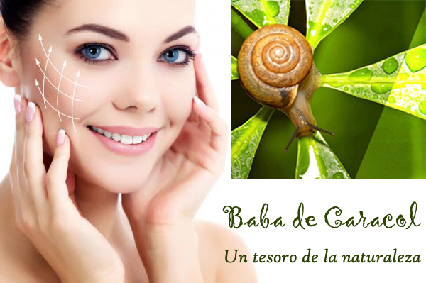 Beneficios-de-la-baba-de-caracol-Topdietaonline.jpg