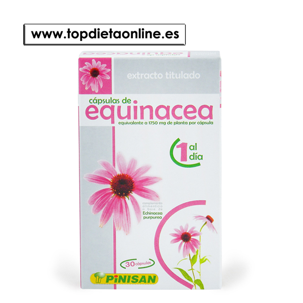 Equinacea de Pinisan