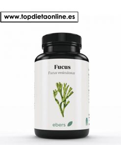 Fucus de Ebers