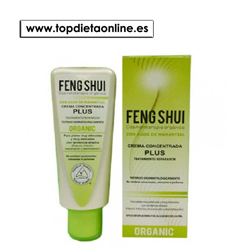 Crema concentrada plus Feng Shui