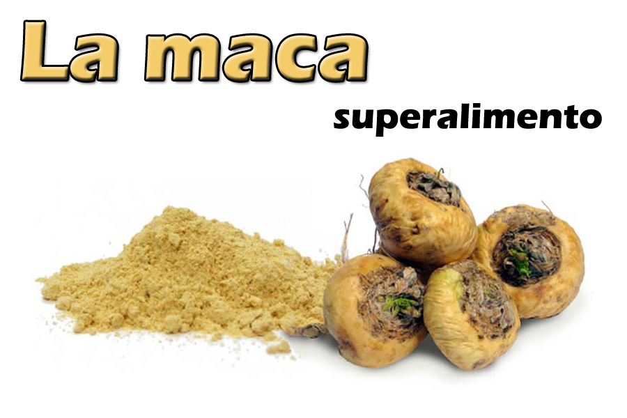 Maca-superalimento.jpg