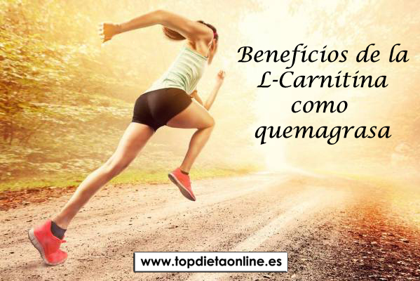 L-Carnitina-Beneficios-quemagrasa.jpg