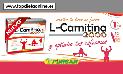 L Carnitina 2000 Pinisan Info