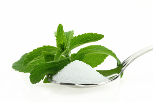 Stevia planta