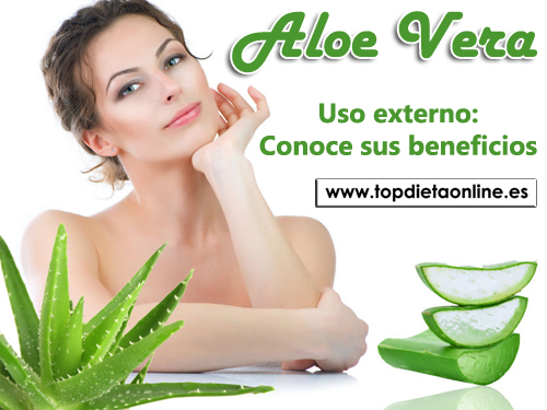 Aloe-vera-de-uso-externo-topdietaonline.jpg