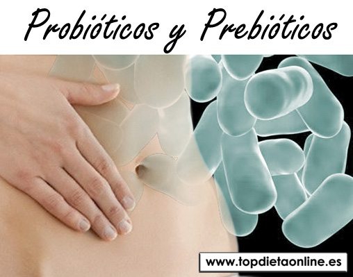 Probioticos-y-prebioticos-topdietaonline.jpg