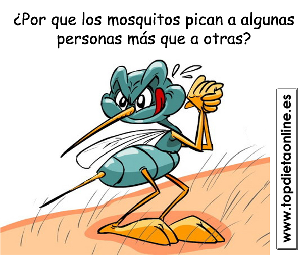 Protector-mosquitos-topdietaonline.jpg