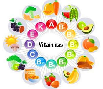 Alimentos vitaminas topdietaonline