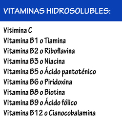 Vitiaminas hidrosolubles topdietaonline