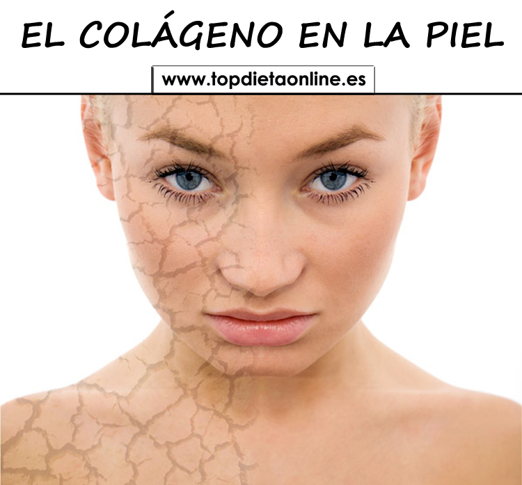 El-colgeno-en-la-piel-topdietaonline_20180918-105152_1.jpg