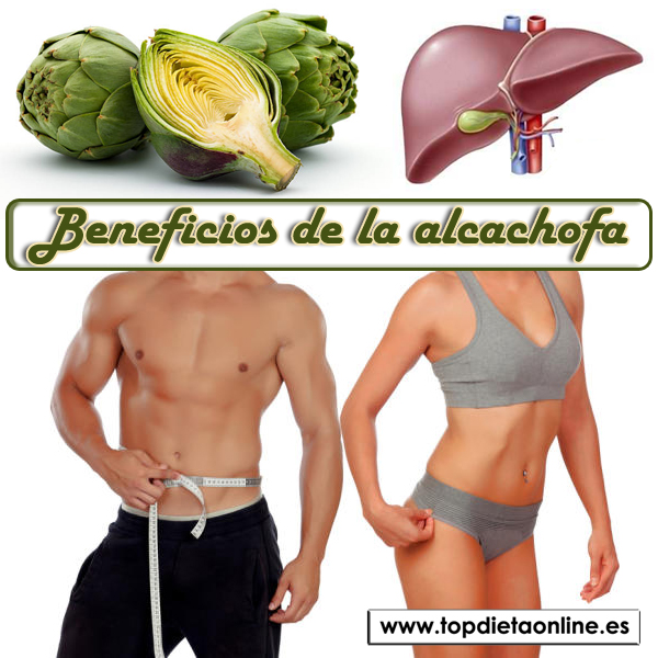 Beneficios de la alcachofa