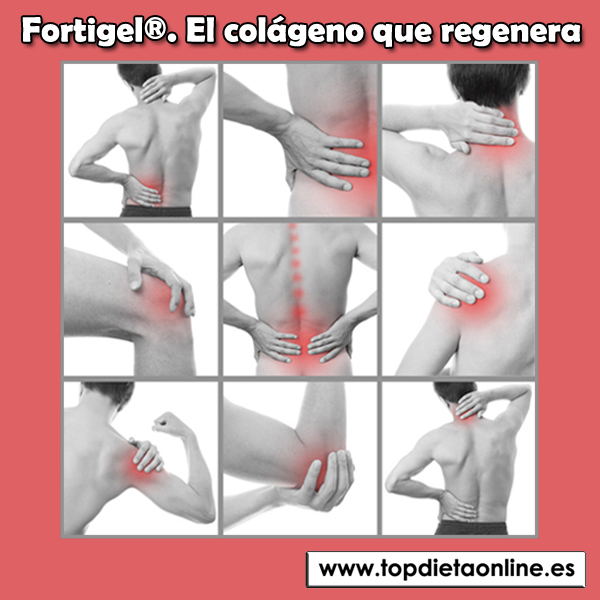 Fortigel, el colágeno que regenera