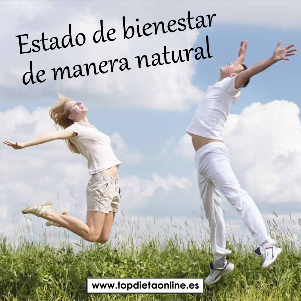 Estado de bienestar de manera natural