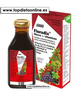 Floradix jarabe Salus