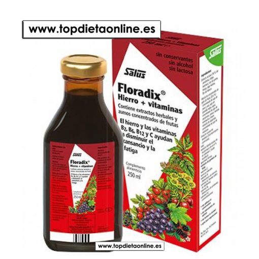 Floradix jarabe Salus