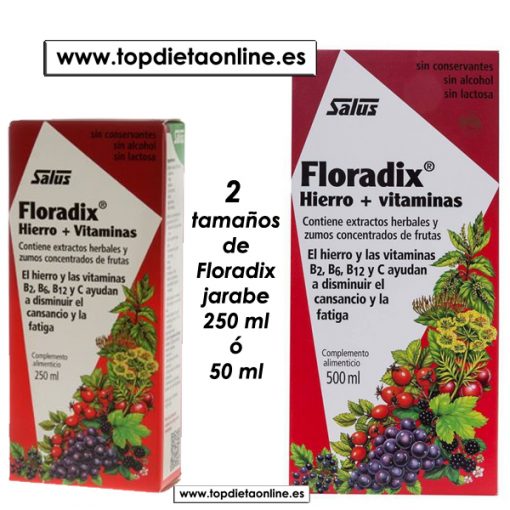 Floradix de Salus en jarabe