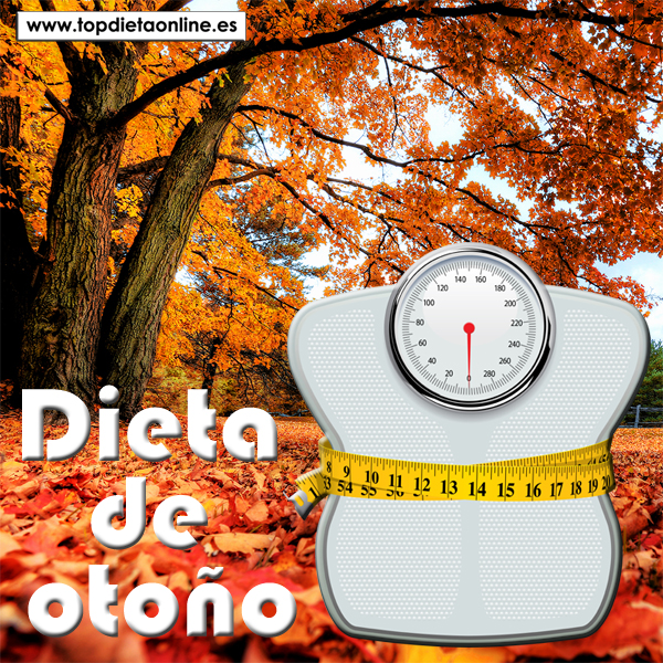 Dieta de Otoño topdietaonline