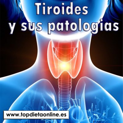 Tiroides y sus patologías