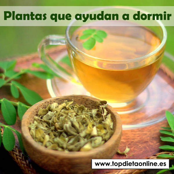 Plantas que ayudan a dormir