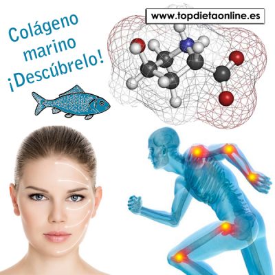 Colágeno marino