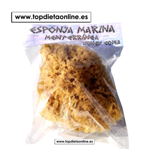 Esponja marina adulto