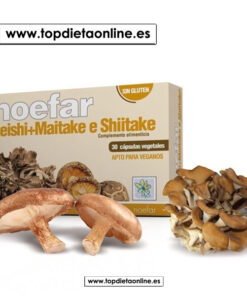 Reishi Maitake y Shiitake de Noefar