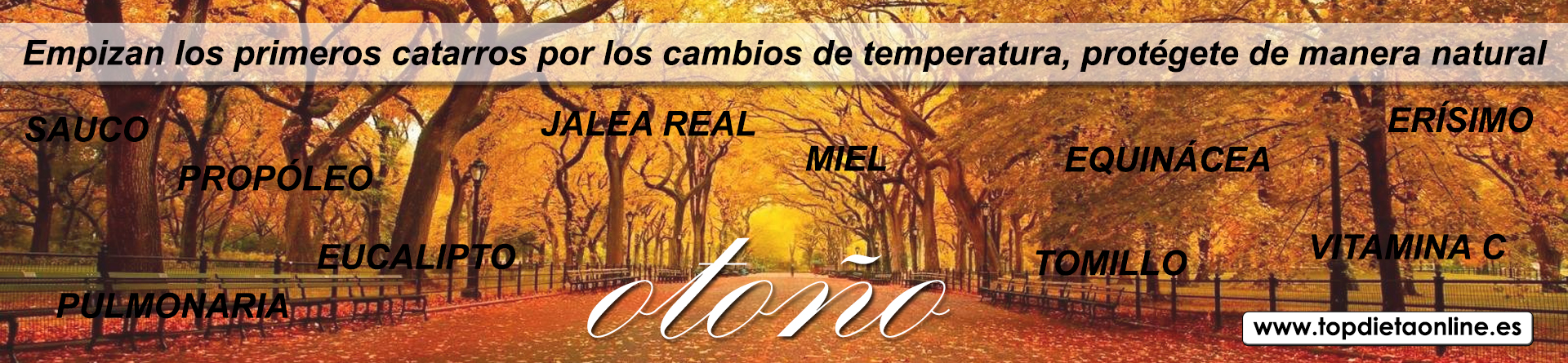 Bunner Otoño 2022