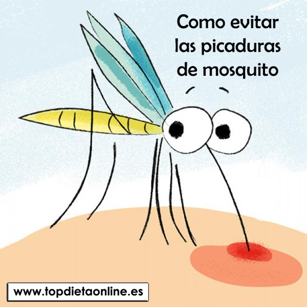 Como evitar las picaduras de mosquito