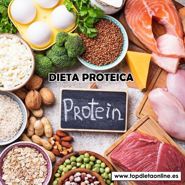 Dieta proteica