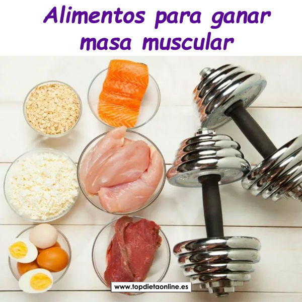 Alimentos para ganar masa muscular