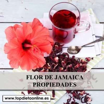 Flor de jamaica propiedades