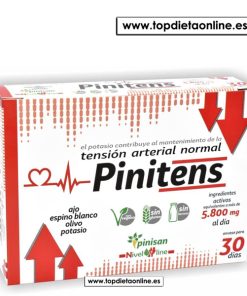 Pinitens de Pinisan